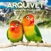 Arquivet Red Mirror for Bird Cages | 12x10 cm | Toys & Accessories for Canaries Budgies Agapornis & Parrots - Buy Online on SooperMarket.com