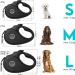 Dog is K nig 8m Roller Leash for Small & Large Dogs | High-Quality Extendable Dog Leash | Comfortable Handle | Robust & Durable | Smart Brake System | Up to 50kg - Night Black - Buy Online on SooperMarket.com