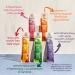 Re-Harvest Provisions Smoothie Pops 5 Pack - Frozen Fruit + Vegetables + Superfoods | Dairy-Free, Vegan, Gluten-Free | Anti-Inflammatory | Eco-Friendly | 1.6oz ea - Buy Online on SooperMarket.com