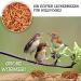 Dried Mealworms 1 Ltr (160g) - Premium Insect Snack for Birds Fish Turtles & Reptiles | Year-Round Bird & Hedgehog Feed - 1 Pack - Buy Online on SooperMarket.com
