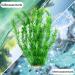 Ctpeng XXL Aquarium Decorations - Set of 3 Plastic Plants for Fish Tanks | 55cm 10cm 8cm - Buy Online on SooperMarket.com