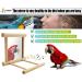 Blessed Family Bird Parakeet Mirror - Wooden Perch Stand and Swing Toy for Parrot Cage - Parakeet Accessories for Various Bird Species - 1 Piece - Buy Online on SooperMarket.com