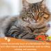 Cat Treats bundle contains Lick e Lix Chicken Salmon Beef Liver Cheese Cat Grass Licky Lix 6x5's Kitten Treat and Snacks Lick-e-Lix Total 30 sachets and our Catnip mouse toy - Buy Online on SooperMarket.com