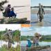 Lixada Portable Folding Fishing Rod Case - 130cm Army Green | Fishing Pole Storage Bag & Organizer - Buy Online on SooperMarket.com