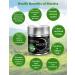Matcha Moon - Organic Ceremonial Grade Japanese Matcha Green Tea Powder from Uji Kyoto Japan - USDA Certified - 30g Tin - Pure Zen - Buy Online on SooperMarket.com