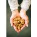 Organic Pecan Butter - Handmade, Keto Friendly, Gluten Free, USDA Certified, All Natural with Sea Salt - No Added Sugar - Buy Online on SooperMarket.com
