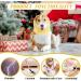 Pattepoint Dog Snood - Noise Protection & Anxiety Relief Ear Muffs for Dogs - Yellow, Medium - Buy Online on SooperMarket.com