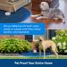 PetSafe Classic In-Ground Fence for Dogs and Cats - 500ft Wire- 5 Acres Coverage - 1 Dog Kit - Buy Online on SooperMarket.com