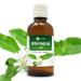 Salvia Bhringraj Oil (Eclipta alba) 100% Pure & Natural - Undiluted Uncut Cold Pressed Premium Oil Use for Aromatherapy Skin Care & Hair - Therapeutic Grade (3.38 fl oz)