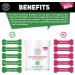 Biodegradable Anti-Fungal Ear Wipes for Dogs & Cats | 100 Soothing Cleaning Wipes | Gentle & Quick Solution for Ear Wax & Itchiness - Buy Online on SooperMarket.com