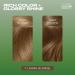 Clairol Natural Instincts Semi-Permanent No Ammonia Hair Dye 7 Dark Blonde 7 Dark Blonde 1 count (Pack of 1) - Buy Online on SooperMarket.com