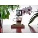 Buy Vietnamese Coffee Starter Set - High Quality Hoa & Traditional Beans | Vietbeans - Buy Online on SooperMarket.com