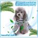 Elegant Petcute Dog Dress - Summer Tutu for Little Dogs with Bowknot & Flower Design | XS Black & White Stripes - Buy Online on SooperMarket.com