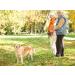 Dog Lead Retractable 5M Extendable Dog/Pet Leads/Leash with Waste Bag Dispenser and Poop Bags Extendable Tape Lead Belt for Dogs Pets Puppy up to 50KG/5m (110 lbs/16ft) 50kg-with waste bag Dispenser - Buy Online on SooperMarket.com