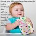 Teething Mittens with Baby Food Feeder Pacifier | Soothe Tender Gums | Fruit Teether Set for Safe Solid Food Introduction | Ideal for Teething & Baby's First Feeding - Buy Online on SooperMarket.com