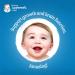 Gerber Supplements for Baby Vitamin D and DHA Drops 0-2 Years Supports Strong Bones Teeth & Normal Brain Function No Colours No Flavours No Sweeteners Gluten-Free Vegetarian - Buy Online on SooperMarket.com