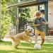 ZEEJORY Adjustable Cat & Dog Cone Collar for Fast Healing - M(28-37cm/11-14.5in) - Buy Online on SooperMarket.com