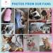 KYEESE 2 Pack Striped Dog Shirts - Soft Cotton Tank Top for Dogs - Sleeveless Cat Shirts - 16 Chest - 2Pack (Striped+Pink) - Buy Online on SooperMarket.com