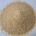 Premium Mills Green Spelt Meal 500g - Freshly Ground from R tze Mill | High-Quality Green Spelt Grains for International Shipping - Buy Online on SooperMarket.com