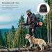 Philorn Hands Free Dog Lead with Phone Pouch - Running/Jogging Leash, Shock Absorbing Bungee, Reflective Stitching, Blue - Buy Online on SooperMarket.com