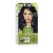 Naturtint Permanent Hair Color 2NB Blue Black (Pack of 1)  Ammonia Free  Vegan  Cruelty Free  up to 100% Gray Coverage  Long Lasting Results