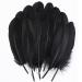 Ballinger Black Craft Feathers Bulk - 120Pcs 6-8 Inch Real Goose Feathers for DIY Halloween Decorations  Jewelry Cosplay and Clothing Accessories