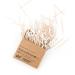 HYDROPHIL - Sustainable cotton swabs made of bamboo - Vegan - Certified - 100% biodegradable (100 pieces (1 pack))