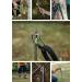 Campingmoon Dog Tie Out Stake 360 Swivel Heavy Duty Strongest Dog Anchor Spike for Tie-Out Cable Chain 30CM - Buy Online on SooperMarket.com