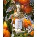 Guerlain Aqua Allegoria Mandarin Basilic Eau De Toilette Spray for Unisex 2.5 Ounce 2.5 Ounce (Pack of 1) - Buy Online on SooperMarket.com