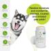 USDA Certified Organic Paw Rescue/Balm - Natural Solution for Pet Paw Care - Buy Online on SooperMarket.com