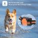 Remote Dog Training Collar - Beep, Vibration Modes - 1000ft Range - Suitable for All Dogs - Buy Online on SooperMarket.com