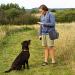 AEMIAO Dog Walking Bag with Bottle Holder & Poo Bags - Large Outdoor Training Treat Pouch for Dogs - Waist & Shoulder Belt - 3 Ways to Wear - Buy Online on SooperMarket.com