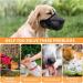 Adjustable Breathable Mesh Dog Muzzle - Grey S | Comfortable & Secure Muzzle for Dogs - Buy Online on SooperMarket.com