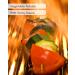 Spice Pots Vegan Curry Kit with 8 Recipes | Korma, Bhuna, Tandoori Masala, Goan Spices | Vegan & Gluten-Free | Vegetarian Curry Kit | Vegan Food Gift - Buy Online on SooperMarket.com