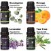 SIPA 100% Pure Aromatherapy Essential Oils Set (8 Pcs) - Lavender, Eucalyptus, Lemon Grass, Rosemary, Tea Tree, Peppermint, Orange, Frankincense - for Diffuser & Humidifier - Buy Online on SooperMarket.com