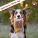 Carnello Kausstangen Grain-Free Dog Treats - Alpine Luck Happiness Streak (3 x 5 Pcs) - Healthy Chews for Dogs - International Shipping Available - Buy Online on SooperMarket.com