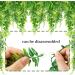 Quozuo 2-Pack Artificial Hanging Plant Terrarium Accessories | Ideal for Reptile Tanks & Home D cor - Perfect for Bearded Dragons Lizards Geckos & Snakes - Buy Online on SooperMarket.com