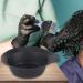 Hairdressing Hair Color Bowl Coloring  - Buy Online on SooperMarket.com