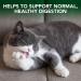 Vet's Best Cat Hairball Relief Digestive Aid | Chicken Flavor 60 Tablets - Buy Online on SooperMarket.com