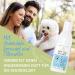 Itching Shampoo for Dogs - 100% Natural Cedar Oil & Lavender - Soothes Itching & Mites - 200ml Anti-Itch Formula - Buy Online on SooperMarket.com
