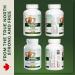 Vitanergy L-Theanine Mental Focus & Calmness - Promote Stress Anxiety Relief Relaxation and Sleep Aid - 100mg Chewable Tablets 60ct Tropical Flavor- Made in Canada - Buy Online on SooperMarket.com