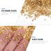 FRCOLOR 1 Glass Chip Irregular Glass Glitter Ornaments Glass Epoxy Resin Filler Nail Crystal Charms Crushed Crystal Chips Chunky Flakes Sequins Shiny Nail Glitter 3D Jewelry Self Made 0.5X0.3cm Golden - Buy Online on SooperMarket.com
