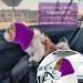 CoBee Soothing Earmuffs for Dogs | Noise Protection Ear Flap Head Wrap - XL Violet | Comfort & Care for Bathing - Buy Online on SooperMarket.com
