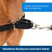 PetSafe Easy Walk Harness - Anti-Pull Dog Harness Red Size L with 1.8M Leash | Reduce Choking & Coughing | International Shipping Available - Buy Online on SooperMarket.com