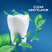 Crest Pro-Health Toothpaste Smooth Formula Clean Mint 130 mL (Pack of 3) Pro Health Toothpaste (3-Pack) - Buy Online on SooperMarket.com