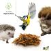 UGF Soldier Fly Larvae (500g) - Superior to Dried Mealworms - 85x Calcium - Ideal Treats for Birds Turtles Rodents & More - Buy Online on SooperMarket.com