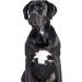 Karlie Dog Shampoo for Black Fur - 300 ml | Premium Pet Care for Shiny Coats | International Shipping Available - Buy Online on SooperMarket.com