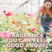 Glade PlugIns Rose & Bloom Air Freshener Refills - 5 Count Pack, 3.35 Fl Oz - Scented Essential Oils for Home & Bathroom - Buy Online on SooperMarket.com