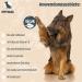 Petical Oatmeal Dog Shampoo - 100% Vegan pH-Neutral Aloe Vera & Vitamin E for All Fur Types | Anti-Itching & Odor Care - Buy Online on SooperMarket.com