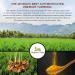 Organic Veda Turmeric Powder - 100% Pure USDA Certified Ultra-Fine Root Powder with Natural Curcumin - Premium Harvest from India - Ideal for Cooking, Milk, Smoothies (16 oz) - Buy Online on SooperMarket.com